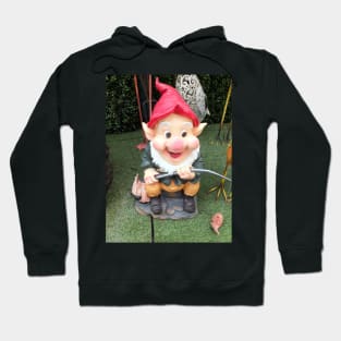 Garden Gnome Hoodie